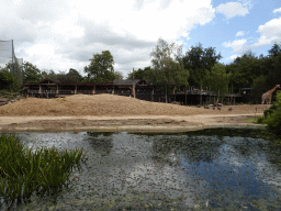 Giraffe and Helmeted Guineafowls at the DierenPark Amersfoort zoo, viewed from the cycle boat on the Expedition River