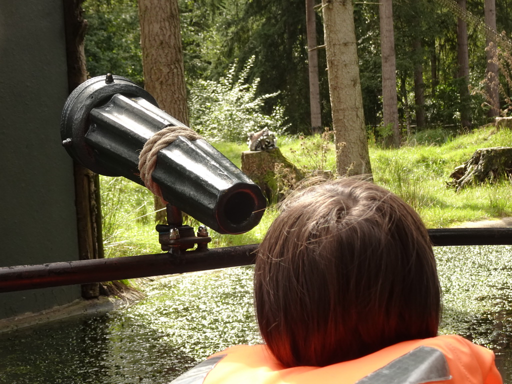 Max on the cycle boat on the Expedition River at the DierenPark Amersfoort zoo, with a view on the Ring-tailed Lemurs