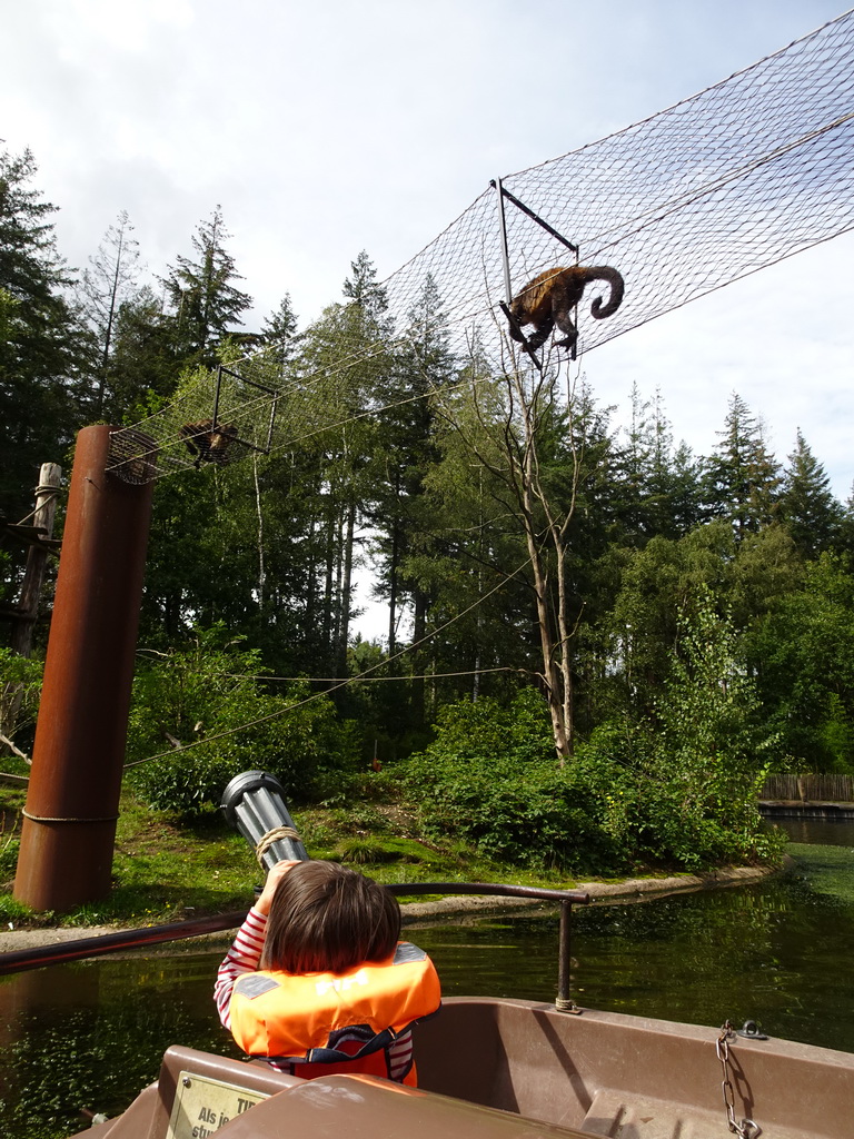 Max on the cycle boat on the Expedition River at the DierenPark Amersfoort zoo, with a view on the Golden-bellied Capuchins