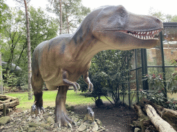 Tyrannosaurus Rex statue at the DinoPark at the DierenPark Amersfoort zoo