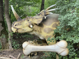 Styracosaurus statue at the DinoPark at the DierenPark Amersfoort zoo, with explanation