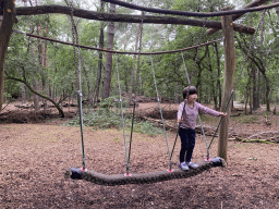 Max on a swing at a playground at the DinoPark at the DierenPark Amersfoort zoo