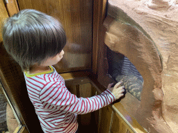 Max with a Gila Monster at the Honderdduizend Dierenhuis building at the DierenPark Amersfoort zoo