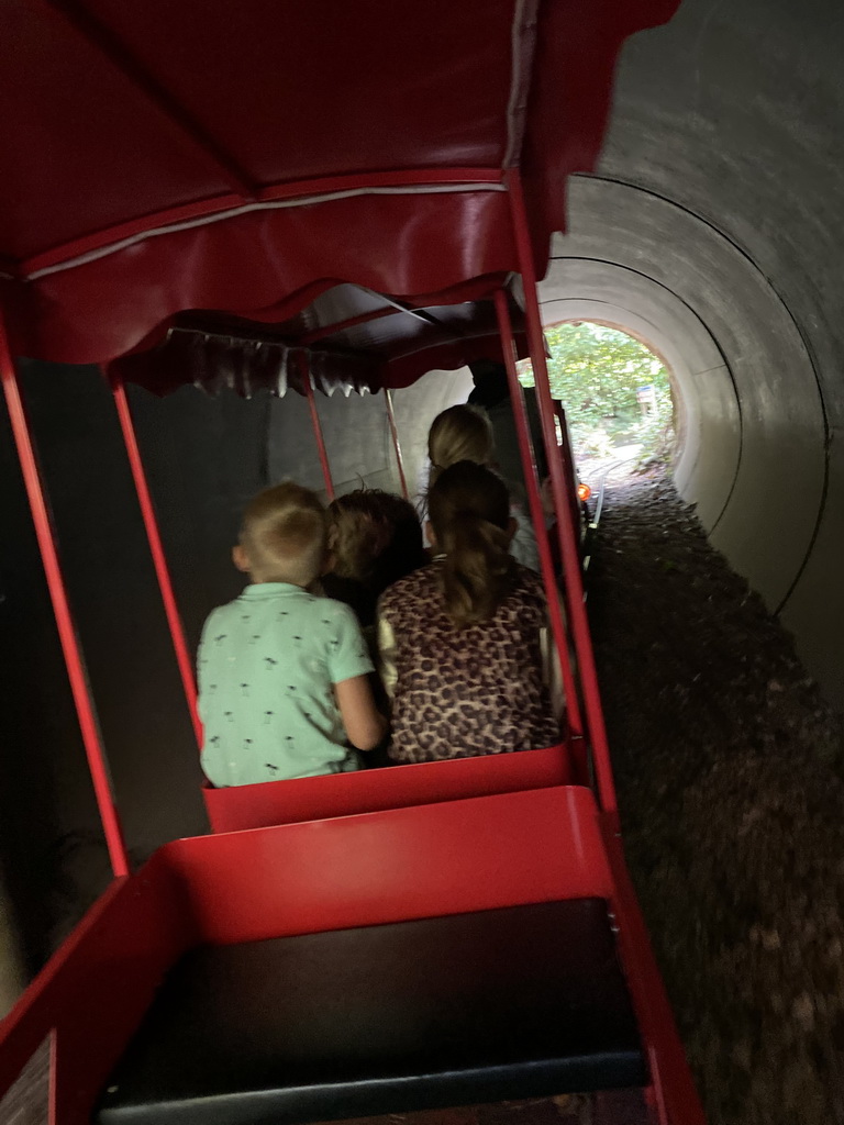 Tourist train riding through a tunnel at the DierenPark Amersfoort zoo