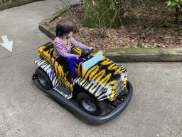 Max in a bumper car at the Pretplein square at the DierenPark Amersfoort zoo