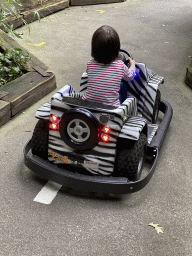 Max in a bumper car at the Pretplein square at the DierenPark Amersfoort zoo