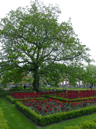 Tree and flowers in the gardens at the southeast side of the Rijksmuseum