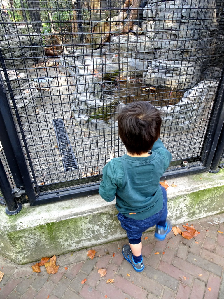 Max with Keas at the Royal Artis Zoo