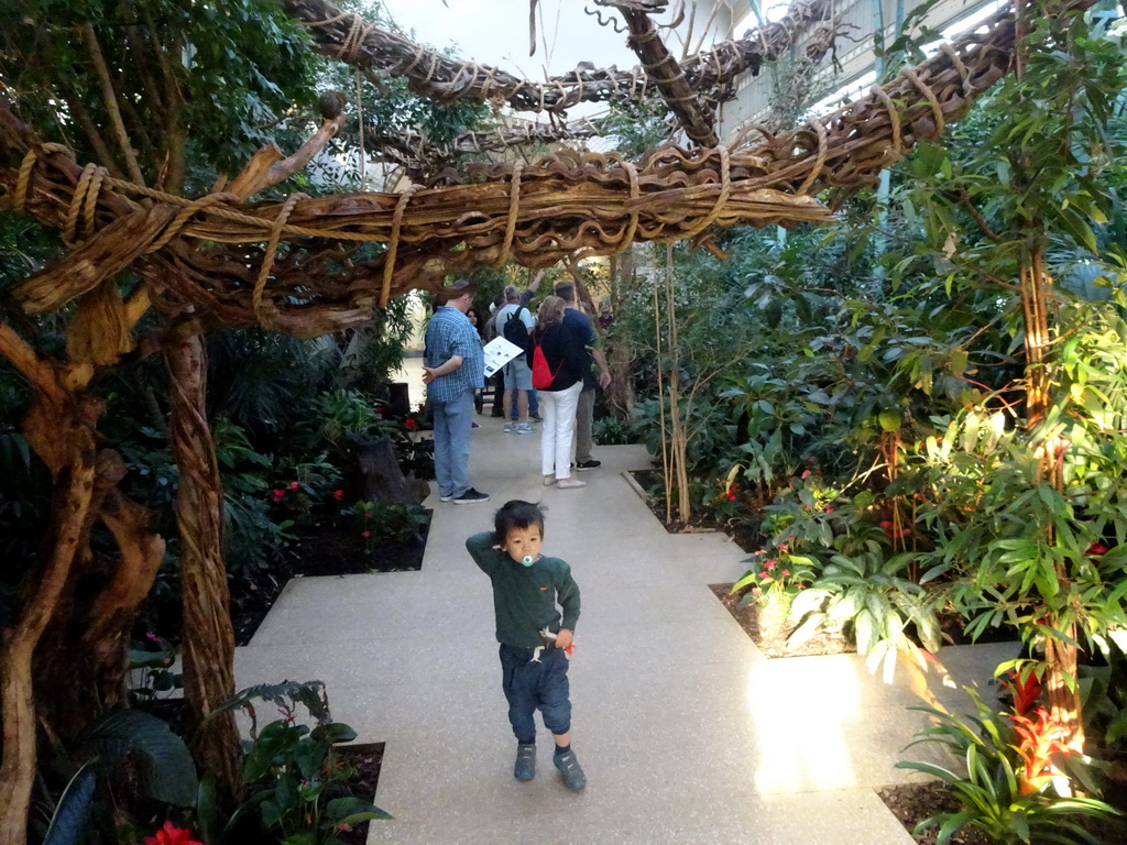 Max at the Forest House at the Royal Artis Zoo