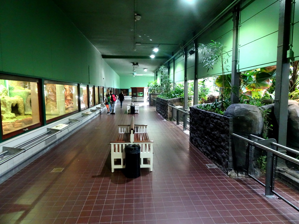 Interior of the Reptile House at the Royal Artis Zoo