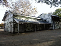 The Giraffenstal building at the Royal Artis Zoo