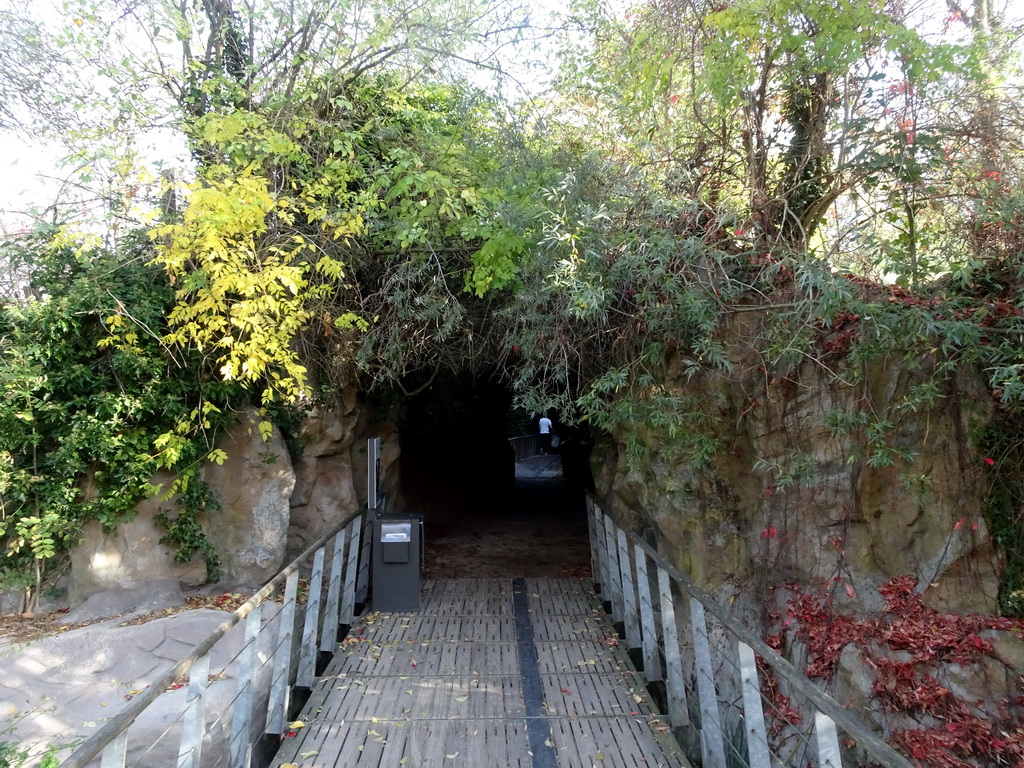 Tunnel leading to a waterfall at the northeast side of the Royal Artis Zoo