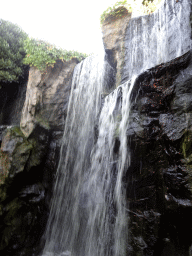 Waterfall at the northeast side of the Royal Artis Zoo