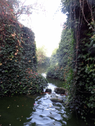 Stream from the waterfall at the northeast side of the Royal Artis Zoo