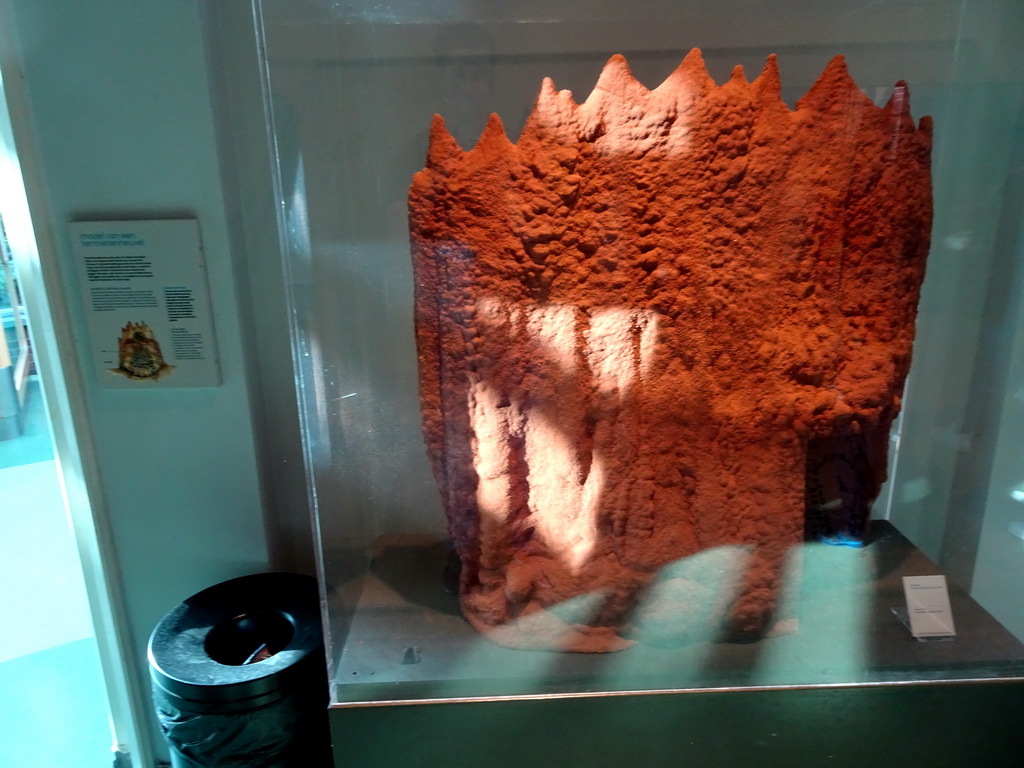 Model of a Termite hill at the Insectarium at the Royal Artis Zoo, with explanation