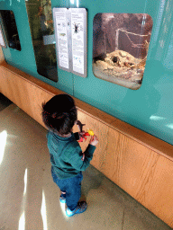 Max with a Red-kneed Tarantula at the Insectarium at the Royal Artis Zoo, with explanation
