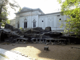 African Penguins and the northeast side of the Aquarium at the Royal Artis Zoo