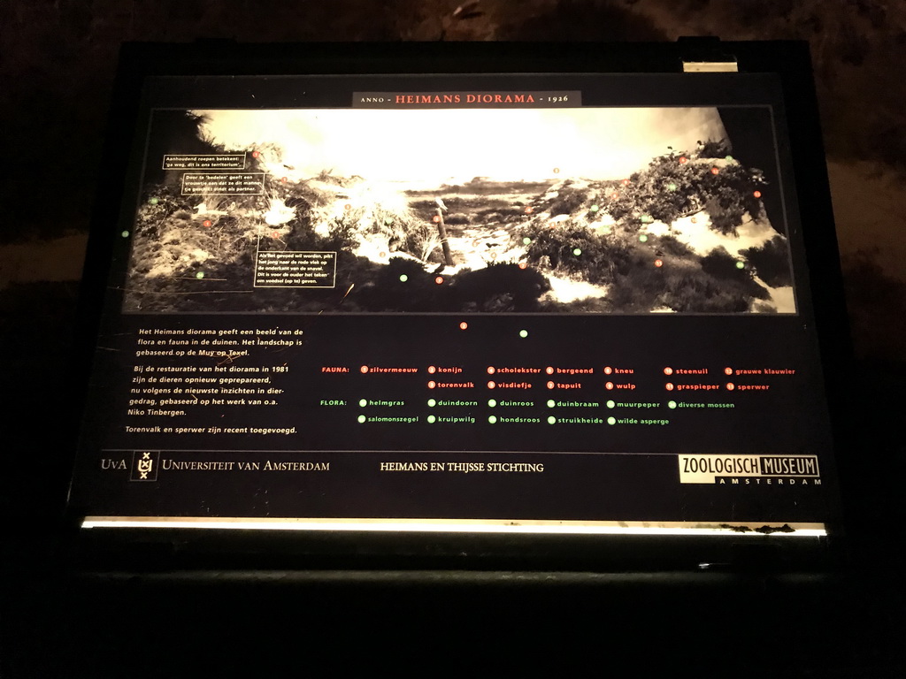 Explanation on the Heimans Diorama at the Upper Floor of the Aquarium at the Royal Artis Zoo