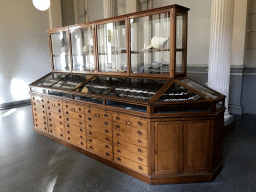 Cabinet with shells at the Upper Floor of the Aquarium at the Royal Artis Zoo