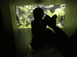 Max looking at fish at the Main Hall at the Upper Floor of the Aquarium at the Royal Artis Zoo