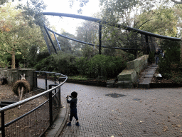 Max making a photo of a Llama at the Royal Artis Zoo