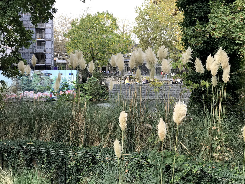 The Artisplein square, viewed from the southwest side of the Royal Artis Zoo