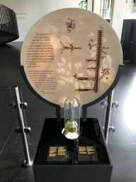 Flask with Duckweed and a quote and drawing of Antonie van Leeuwenhoek at the Lower Floor of the Micropia museum