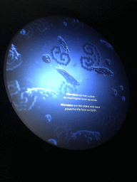 Image and information on Microbes at the Upper Floor of the Micropia museum
