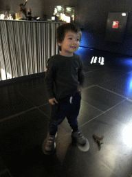 Max playing with the motion-controlled information screen at the Upper Floor of the Micropia museum