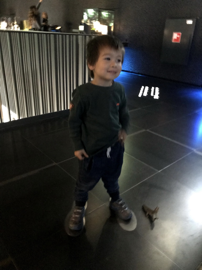 Max playing with the motion-controlled information screen at the Upper Floor of the Micropia museum