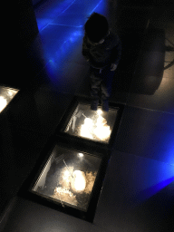 Max with mushrooms at the Upper Floor of the Micropia museum