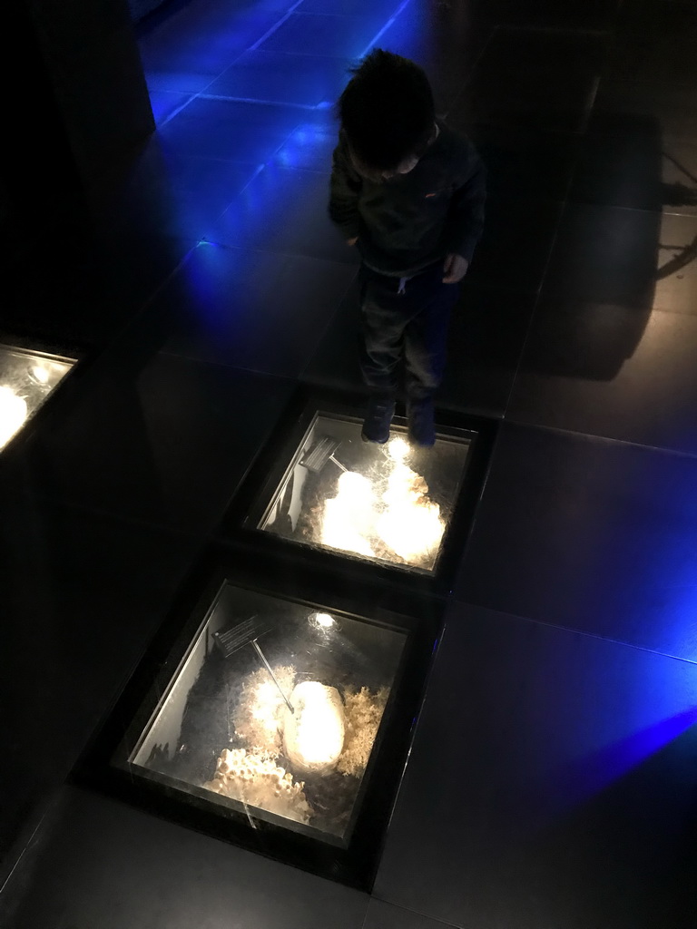 Max with mushrooms at the Upper Floor of the Micropia museum
