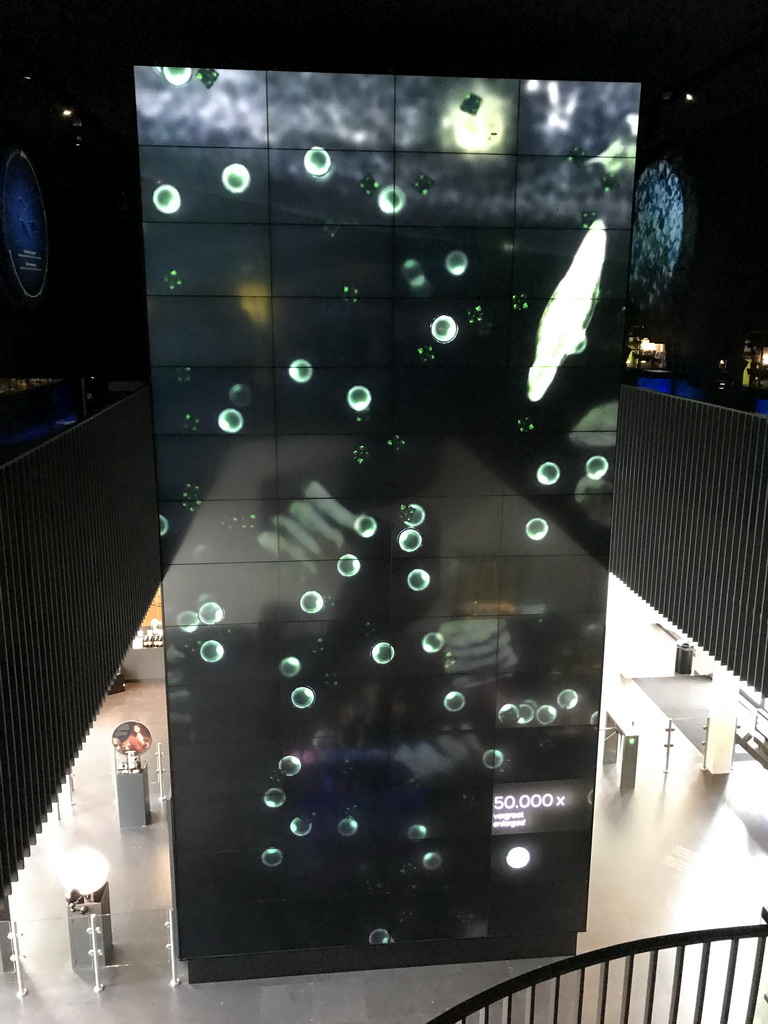 Large image of Microbes at the Lower and Upper Floor of the Micropia museum