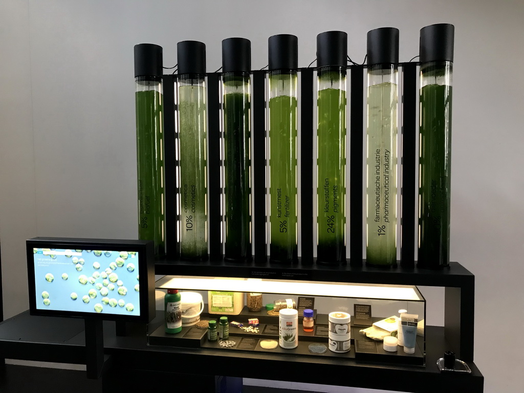 Exhibition on Microbes in different types of products at the Lower Floor of the Micropia museum, with explanation
