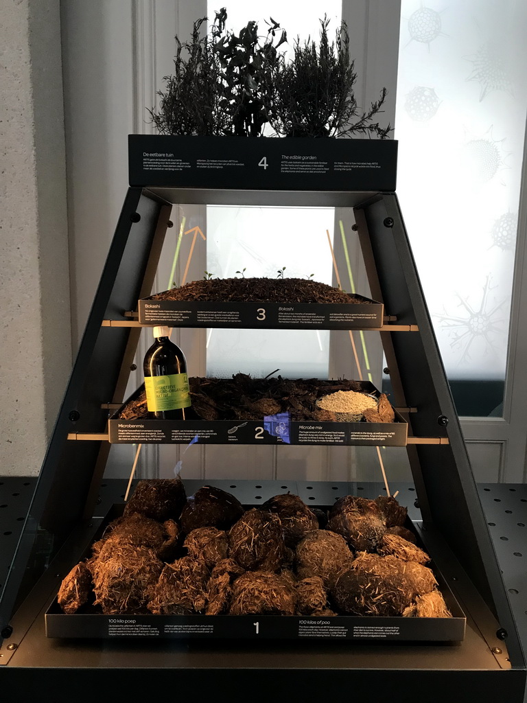 Exhibition on Elephant poop, Microbe Mix, Bokashi and the Edible Garden at the Lower Floor of the Micropia museum, with explanation