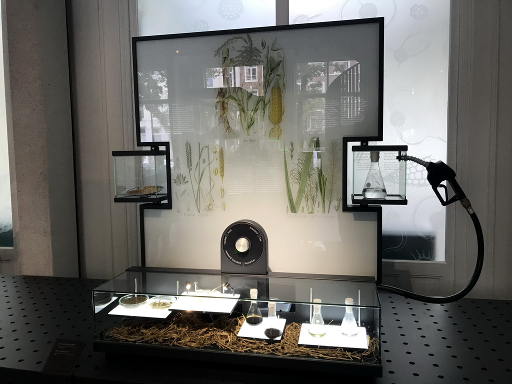 Exhibition on bio-ethanol at the Lower Floor of the Micropia museum, with explanation
