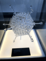 Scale model of an Adenovirus causing the Common Cold at the Lower Floor of the Micropia museum, with explanation
