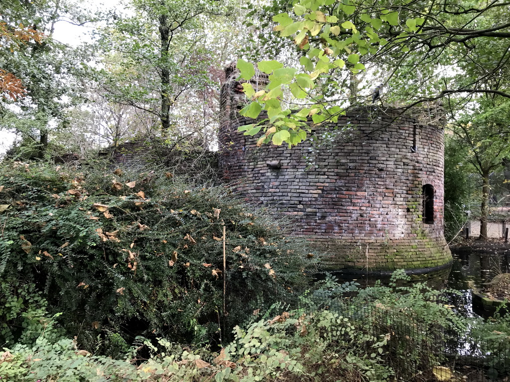 The Uilenruïne building at the Royal Artis Zoo