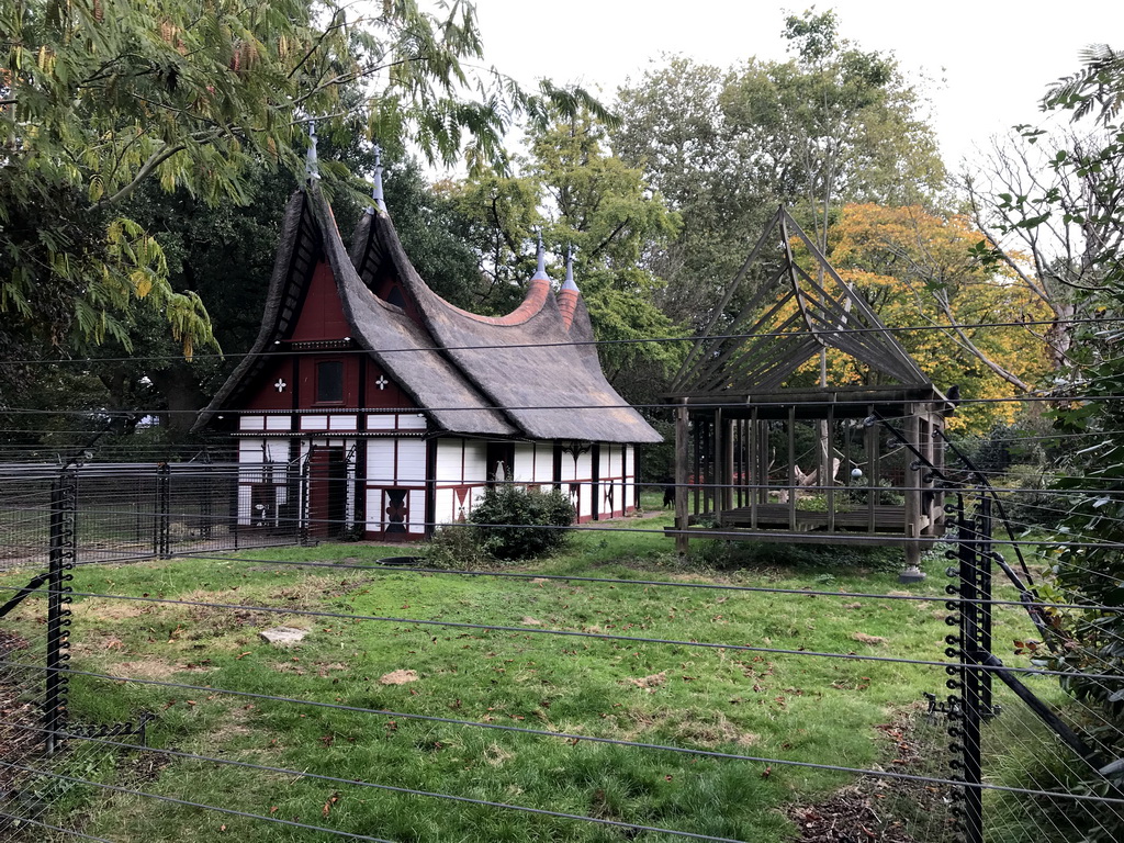 The Minangkabau House and Sulawesi Crested Macaques at the Royal Artis Zoo