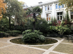 Pond and chairs near the Wallaby enclosure at the Royal Artis Zoo