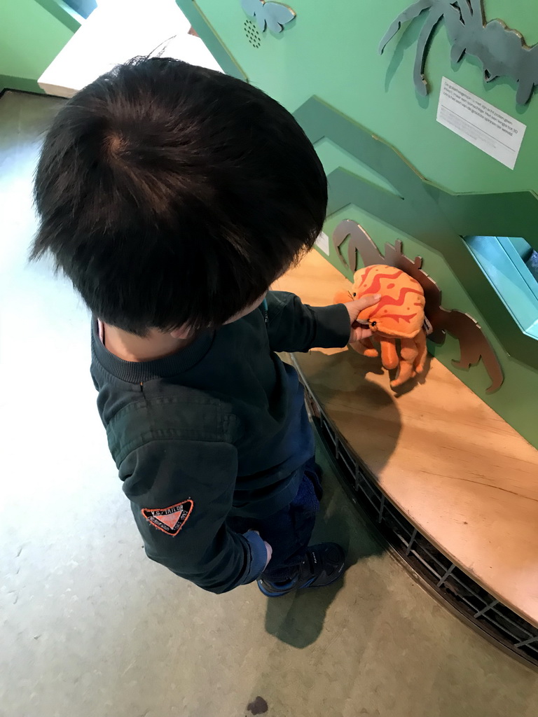 Max with a Crab toy at the Insectarium at the Royal Artis Zoo