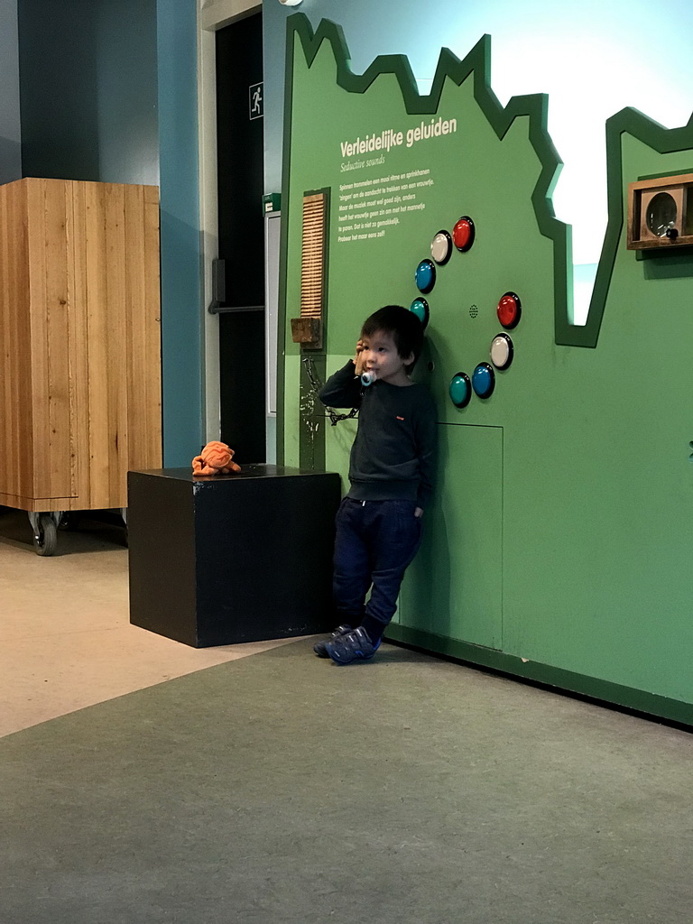 Max with a Crab toy at the Insectarium at the Royal Artis Zoo