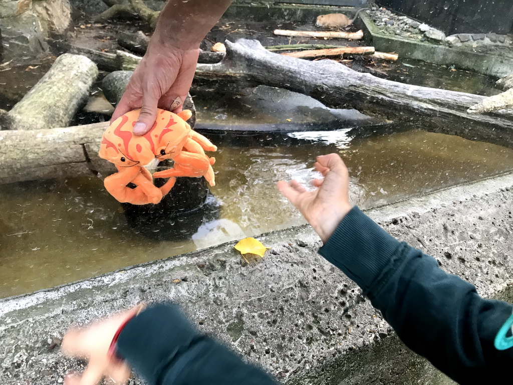 Max with a Crab toy and a Coypu at the Royal Artis Zoo