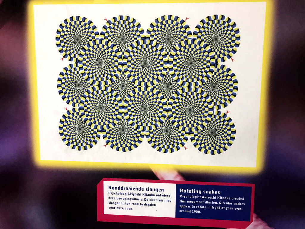 Movement illusion `Rotating Snakes` by Akiyoshi Kitaoka at the Humania exhibition at the Fourth Floor of the NEMO Science Museum