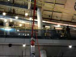 Ball moving around during the Chain Reaction demonstration at the NEMO Science Museum, viewed from the First Floor