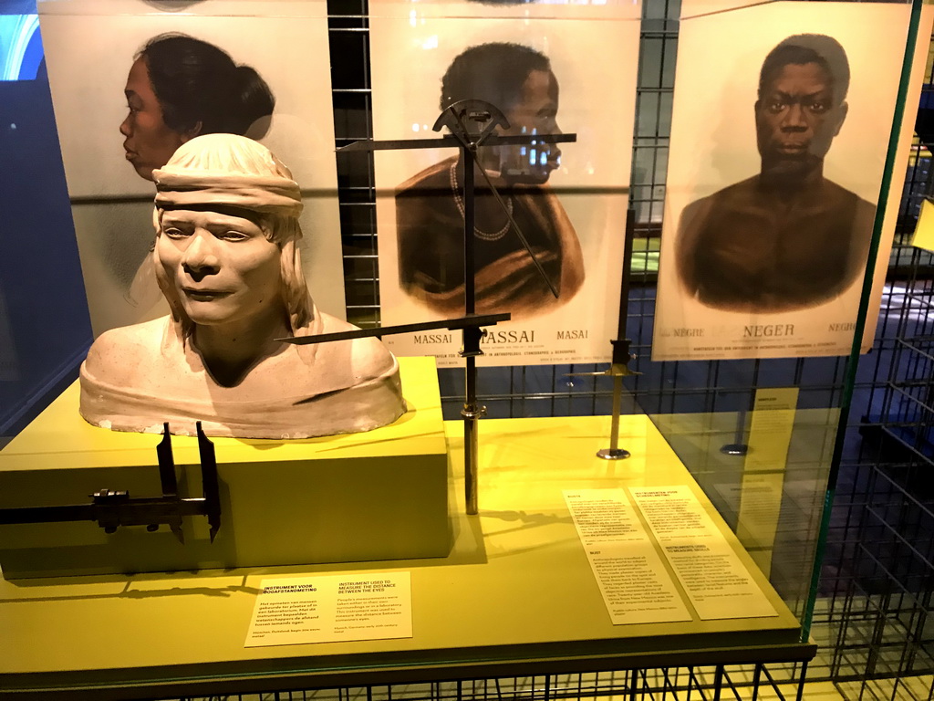 Bust and instruments used to measure the distance between the eyes and skulls at the Afterlives of Slavery exhibition at the First Floor of the Tropenmuseum, with explanation