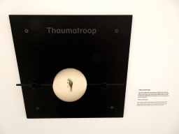 Thaumatrope at the Eye Explore exhibition at the first floor of the EYE Film Institute Netherlands, with explanation