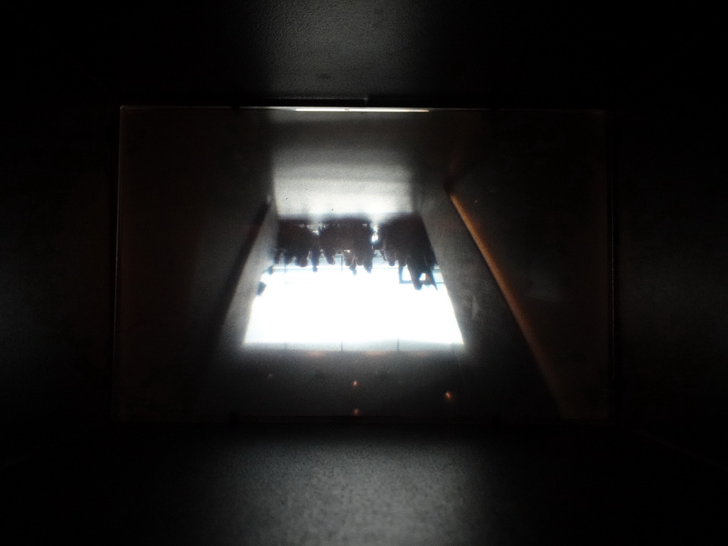 Image from the camera obscura at the Eye Explore exhibition at the first floor of the EYE Film Institute Netherlands