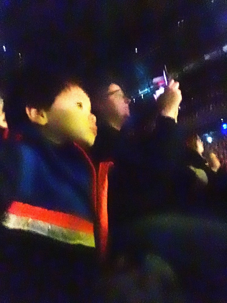 Max looking at the `Walking With Dinosaurs - The Arena Spectacular` show at the Ziggo Dome
