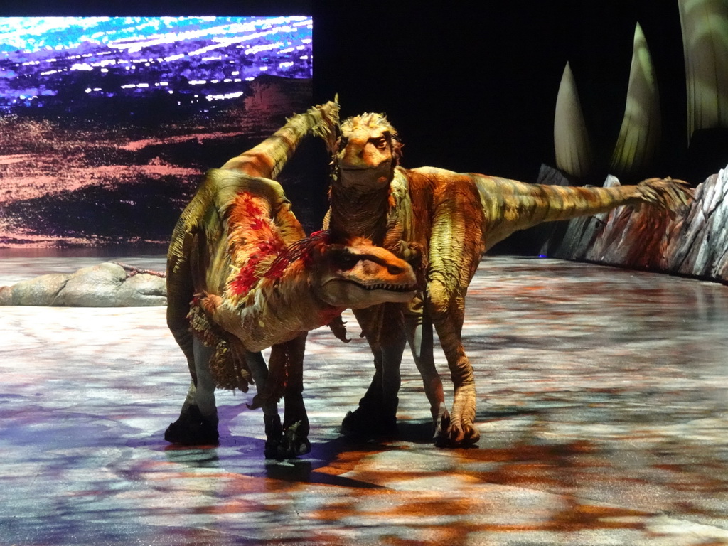 Utahraptor statues at the stage of the Ziggo Dome, during the `Walking With Dinosaurs - The Arena Spectacular` show